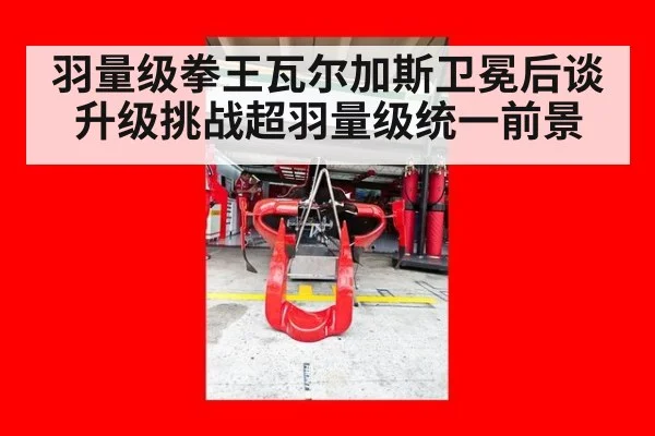 羽量级拳王瓦尔加斯卫冕后谈升级挑战超羽量级统一前景