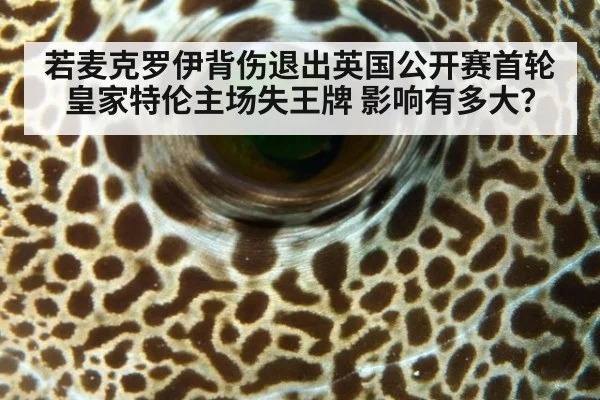 若麦克罗伊背伤退出英国公开赛首轮 皇家特伦主场失王牌 影响有多大？